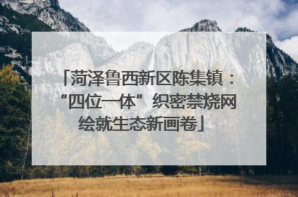 菏泽鲁西新区陈集镇：“四位一体”织密禁烧网 绘就生态新画卷