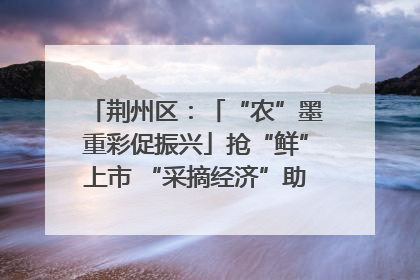荆州区：「“农”墨重彩促振兴」抢“鲜”上市 “采摘经济”助农“甜蜜增收”