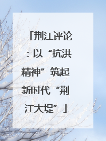 荆江评论：以“抗洪精神”筑起新时代“荆江大堤”