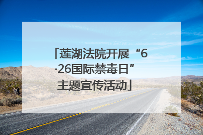 莲湖法院开展“6·26国际禁毒日”主题宣传活动