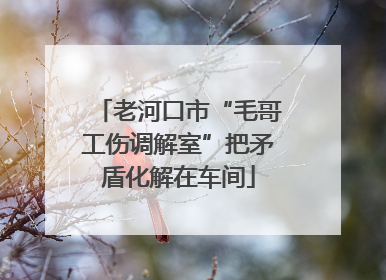 老河口市“毛哥工伤调解室”把矛盾化解在车间