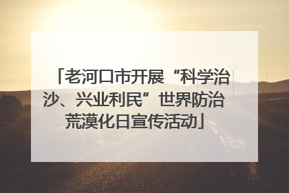 老河口市开展“科学治沙、兴业利民”世界防治荒漠化日宣传活动
