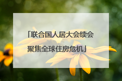 联合国人居大会续会聚焦全球住房危机