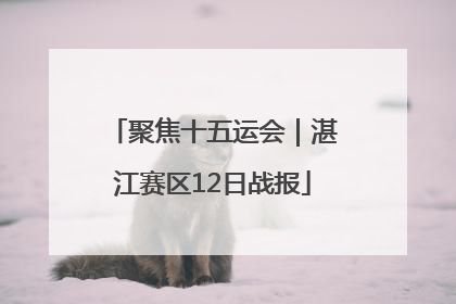 聚焦十五运会｜湛江赛区12日战报