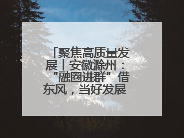 聚焦高质量发展丨安徽滁州：“融圈进群”借东风，当好发展“合伙人”