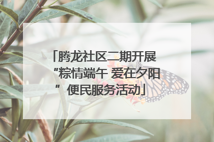 腾龙社区二期开展 “粽情端午 爱在夕阳”便民服务活动