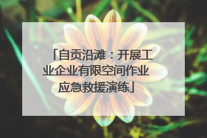 自贡沿滩：开展工业企业有限空间作业应急救援演练