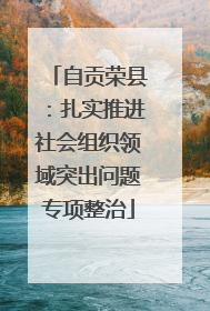 自贡荣县：扎实推进社会组织领域突出问题专项整治