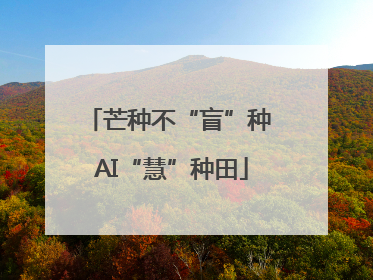 芒种不“盲”种 AI“慧”种田