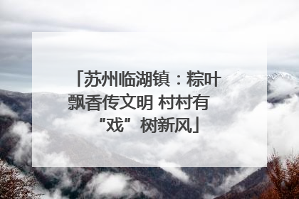 苏州临湖镇：粽叶飘香传文明 村村有“戏”树新风