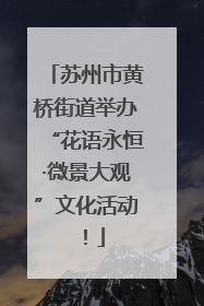 苏州市黄桥街道举办“花语永恒·微景大观”文化活动！