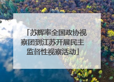苏辉率全国政协视察团到江苏开展民主监督性视察活动