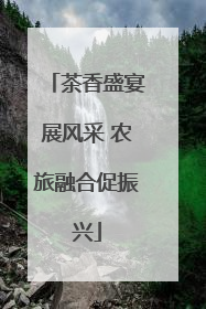 茶香盛宴展风采 农旅融合促振兴