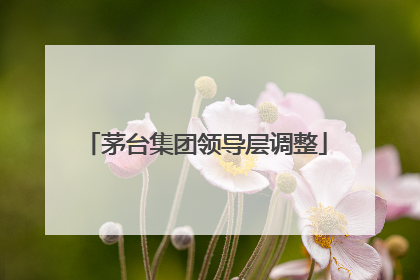茅台集团领导层调整