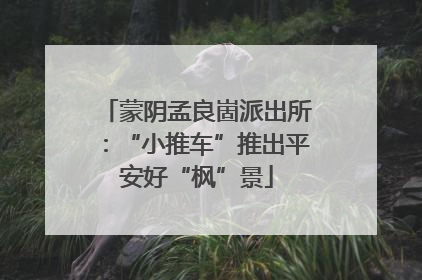 蒙阴孟良崮派出所：“小推车”推出平安好“枫”景