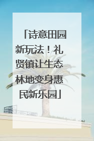 诗意田园新玩法！礼贤镇让生态林地变身惠民新乐园