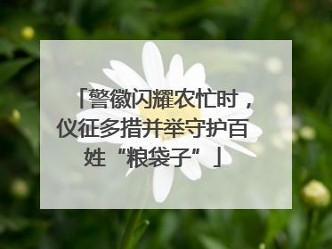 警徽闪耀农忙时，仪征多措并举守护百姓“粮袋子”