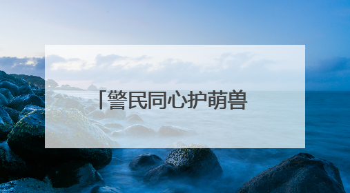 警民同心护萌兽 温情救助显担当
