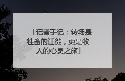 记者手记：转场是牲畜的迁徙，更是牧人的心灵之旅