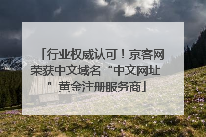 行业权威认可！京客网荣获中文域名“中文网址”黄金注册服务商