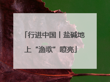 行进中国丨盐碱地上“渔歌”嘹亮