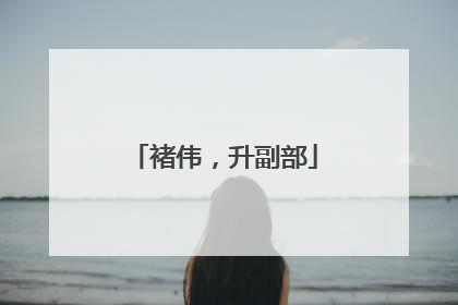 褚伟，升副部