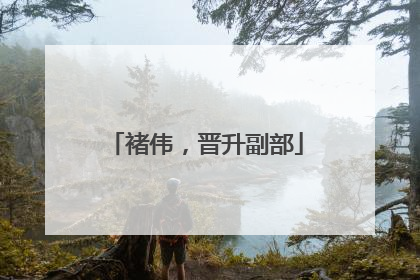 褚伟，晋升副部