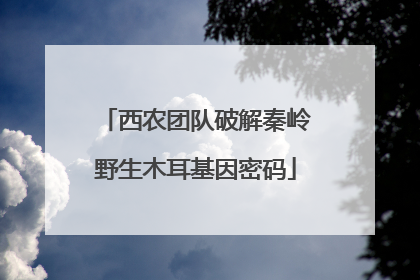 西农团队破解秦岭野生木耳基因密码
