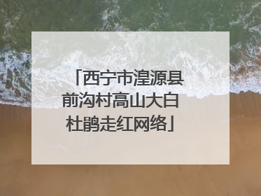 西宁市湟源县前沟村高山大白杜鹃走红网络