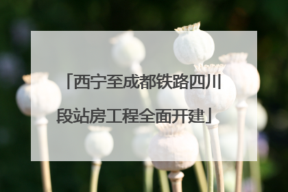 西宁至成都铁路四川段站房工程全面开建