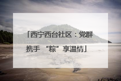 西宁西台社区：党群携手 “粽”享温情