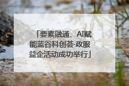 要素融通、AI赋能蓝谷科创荟·政服益企活动成功举行