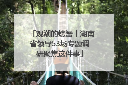 观潮的螃蟹丨湖南省领导53场专题调研聚焦这件事