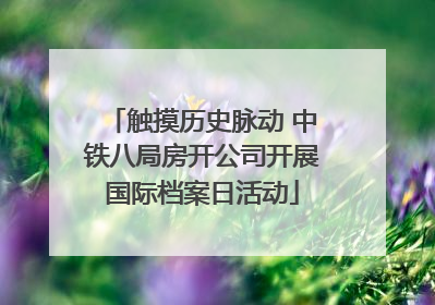 触摸历史脉动 中铁八局房开公司开展国际档案日活动