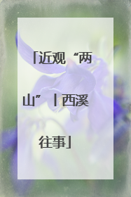 近观“两山”丨西溪往事