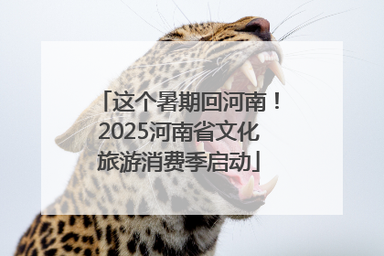 这个暑期回河南！2025河南省文化旅游消费季启动