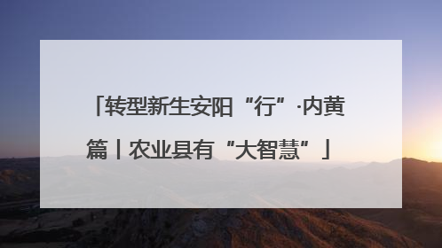 转型新生安阳“行”·内黄篇丨农业县有“大智慧”