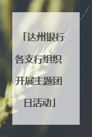 达州银行各支行组织开展主题团日活动