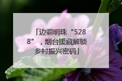 边疆明珠“5288”，烟台援藏解锁乡村振兴密码