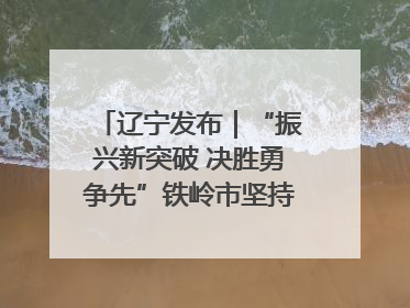 辽宁发布｜“振兴新突破 决胜勇争先”铁岭市坚持“项目为王”推进经济高质量发展