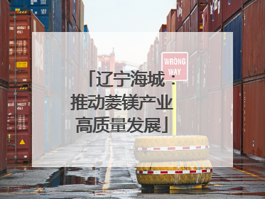 辽宁海城：推动菱镁产业高质量发展