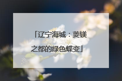 辽宁海城：菱镁之都的绿色蝶变