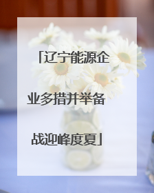 辽宁能源企业多措并举备战迎峰度夏