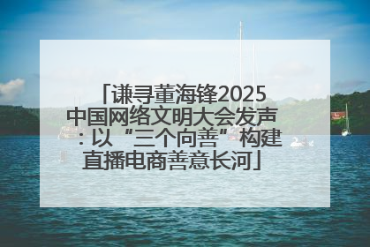 谦寻董海锋2025中国网络文明大会发声：以“三个向善”构建直播电商善意长河