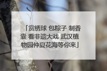 赏绣球 包粽子 制香囊 看非遗大戏 武汉植物园仲夏花海等你来