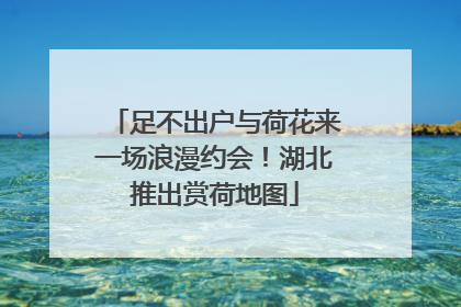 足不出户与荷花来一场浪漫约会！湖北推出赏荷地图