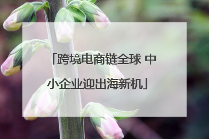 跨境电商链全球 中小企业迎出海新机