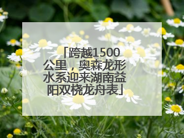 跨越1500公里，奥森龙形水系迎来湖南益阳双桡龙舟表