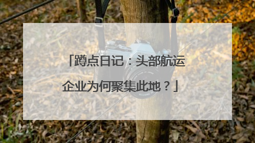 蹲点日记：头部航运企业为何聚集此地？