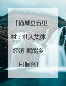 通城县五里村：壮大集体经济 赋能乡村振兴